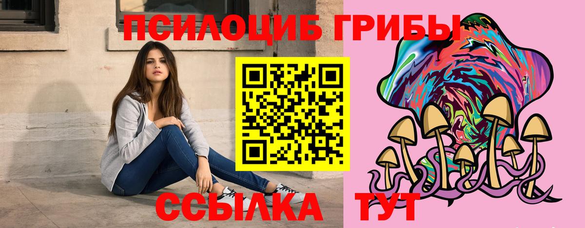 Ачхой-Мартан  Псилоцибиновые грибы MAGIC MUSHROOMS  Вход с VPN  Галлюциногенные грибы Psilocybe 