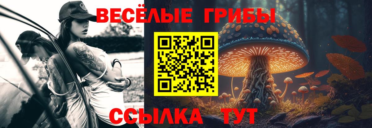 ГАШИШ  Лсд 25  Ачхой-Мартан  Cocaine  ГАШИШ  Метамфетамин  Купить  Меф кристаллы  МЕТАДОН  Каннабис  Вход с VPN 